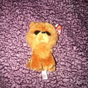 Barley ~ beanie boo🐕